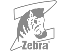 zebra-eg